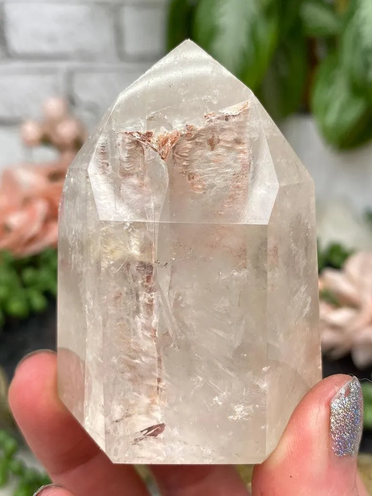 Amphibole Quartz Points