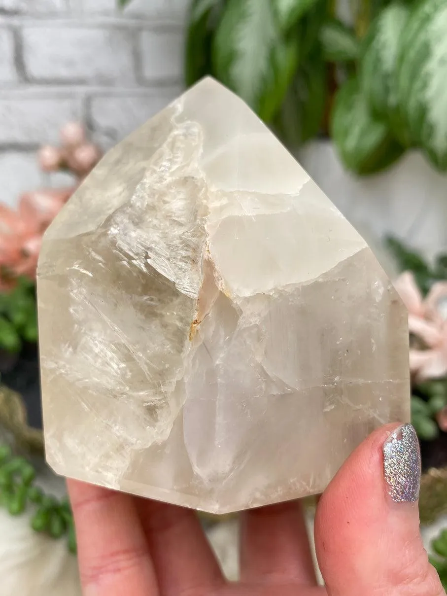 Amphibole Quartz Points