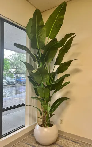 Artificial Bird of Paradise - 10ft