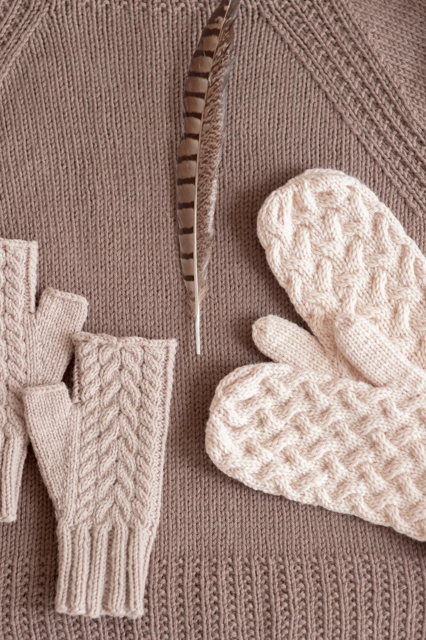core wool 2018